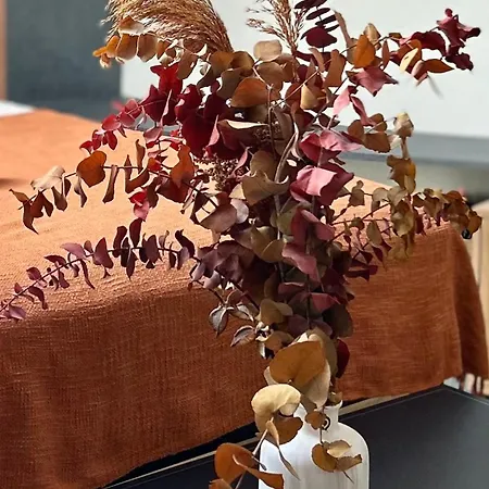 Le Pantaleon - Sublime Capitole *