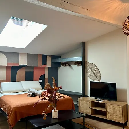 Le Pantaleon - Sublime Capitole Apartamento Toulouse