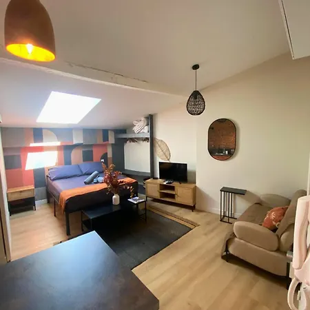 Le Pantaleon - Sublime Capitole Apartamento Toulouse