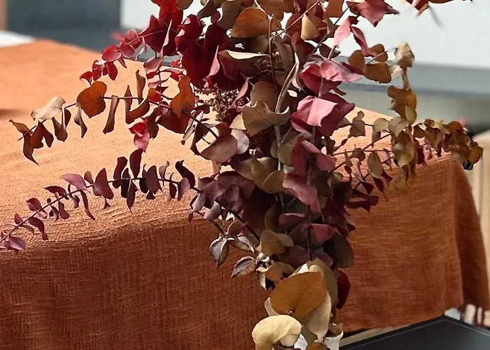 Le Pantaleon - Sublime Capitole *