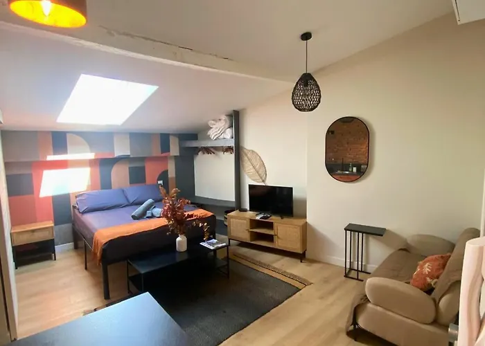 Le Pantaleon - Sublime Capitole 公寓 圖盧茲